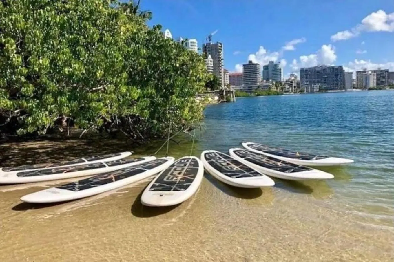 Appartamento V3 Pr Rentals Walk To The Beach 7 Min San Juan